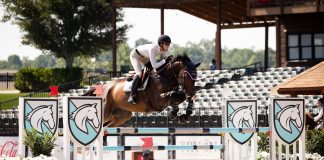 Lexus Arbuckle: Finding Joy in the’ ‘Ah-Ha’ Moments
