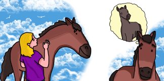 The Adventures of Pudge and Paisley – Part 3