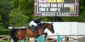 Prianti Van Het Mikkenhof and Boyle Take the Lead in $1,000 FEI 1.35m Speed Class to Kick Off 2024 Old Salem Farm Summer Jumper Classic