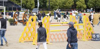 Trainer Tuesday: How can riders improve their spatial recognition off the horse?