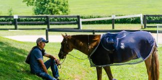 Horses and Weather Extremes