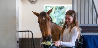 Equine Elixirs: How Top Riders Rely on Nutrition to Keep Their Horses in Peak Performance, Naturally