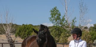 Publisher’s Note: Every One of Us is a Horse Trainer