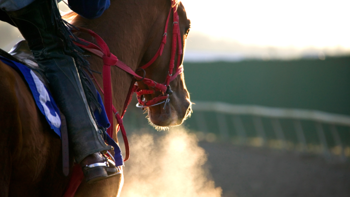 racing_spons_post