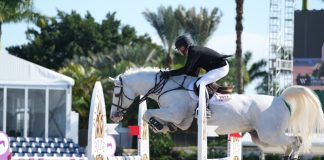 Carlos Quiñones: “He Understands the Process of How Horses Learn”