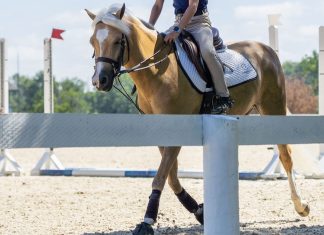 Short Stirrup Shouldn’t Require Lead Changes