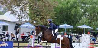 Firsthand Account: The Inaugural Youth Show Jumping Foundation U25 Challenge, presented by PCHA