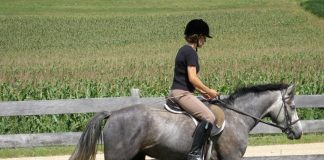 Helicon Pathfinder: Lessons Learned From a Particular Pony