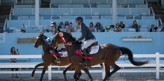 26-Year-Old Thoroughbred Electra and Andrew Ross Bring Home Blue at Devon Fall Classic