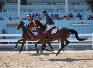 26-Year-Old Thoroughbred Electra and Andrew Ross Bring Home Blue at Devon Fall Classic