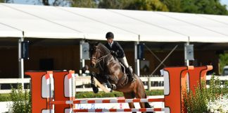 Favorite Edition Z and JJ Torano Win $10,000 Hermès Equitation Championship at 2024 Hampton Classic Horse Show