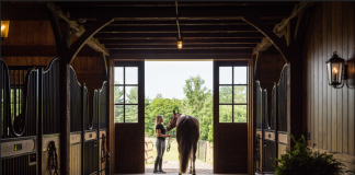 Elevating Your Horse Barn: Eight Custom Features to Help Create a Luxurious Equine Experience