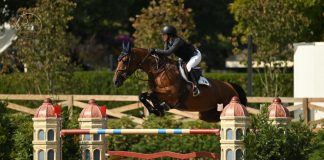 Exquise Du Pachis and Rizvi Soar to Win $65,000 FEI 4* Welcome Stake at 2024 Old Salem Farm September Horse Shows