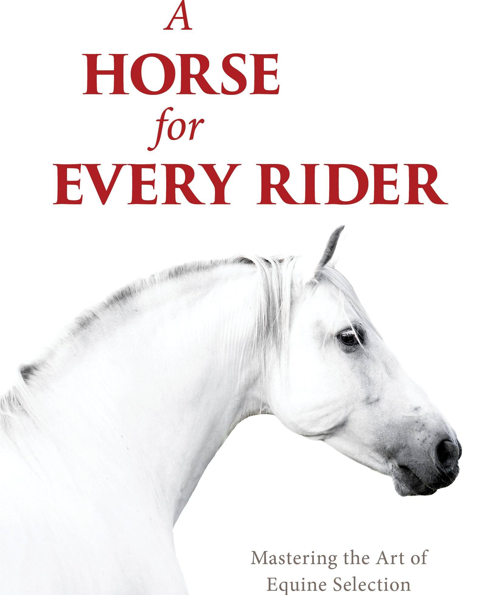 Book Excerpt: A Horse For Every Rider - The Plaid Horse Magazine