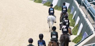 The USEF Green Pony Rule Change: A Rundown