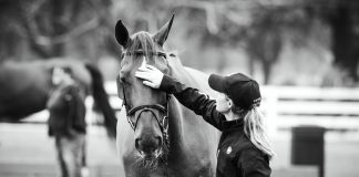 Resources and Grants for Horse People, Families, and Businesses Affected by Hurricanes