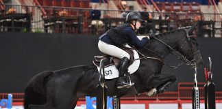 HDB Quality and Olivia Sweetnam Soar to Gold in Turnham Green/USEF Junior Jumper National Championship at Pennsylvania National Horse Show