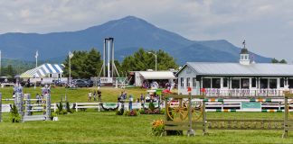 The Plaid Horse Equine Impact Small Business Contest Winner: HorseGrooms