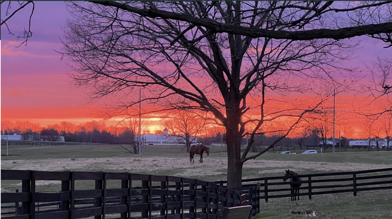 Jockey Katie Davis McCarthy Joins the Thoroughbred Retirement