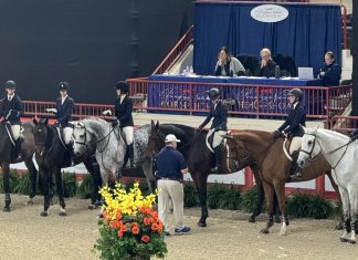 2024 Dover Saddlery/USEF Hunter Seat Medal Finals Recap with Rachel Kennedy & Tammy Provost by Taylor, Harris Insurance Services Special Plaidcast Episode Rachel Kennedy Tammy Provost