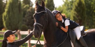 5 Books About Horse Riding Practice in 2024