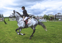 The Package From Europe That Changed How I Shop for Tack