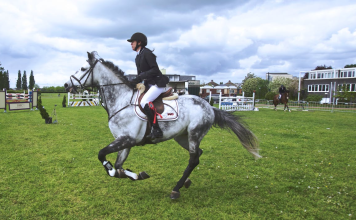 The Package From Europe That Changed How I Shop for Tack