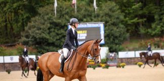 Oki D’Eclipse and Taylor Cawley on Top of the Leaderboard After Phase I of the 2024 Platinum Performance/USEF Show Jumping Talent Search Finals – East