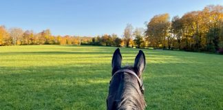 10 Fall Photos to Inspire You to Break Out of Your “Turkey Trance” and Get Back to the Barn