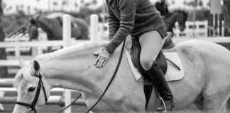 When Someone Tells You It’s Time to Put Your Horse Down