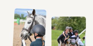 We’re Horse Spot and Community is Our Purpose