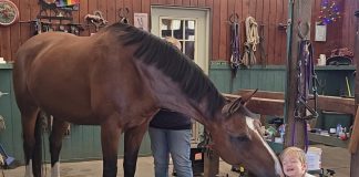 The “H” Gene: A Story of Inspiration and Gratitude