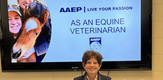 TPH Equestrian Voices Creative Writing Contest Grand Champion Donates $5,000 Prize To Vet Students