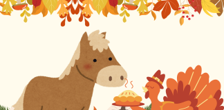 Tampa Bay Police Horses Rate Thanksgiving Plate