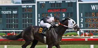 Mastering Royal Ascot 2025: Your Betting Blueprint