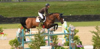 Go Rentals Named Official Rental Car of HITS Horse Shows