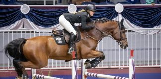 Freaky and Jacqueline Steffens Daly Lead Canadian Show Jumping Championship at Toronto’s Royal Horse Show