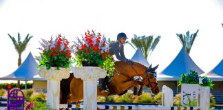 Crystal Nelson and Tali Dejong Get Gold in Markel/USHJA Platinum Jumper Championships at National Sunshine Series