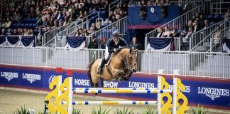 Cashew CR and Alex Matz Double Down at Toronto’s Royal Horse Show