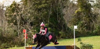 Autumn Hues While Eventing With a View at VHC Eventing Presented by Capital Square