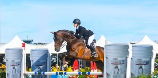 Aboard Change Up PS, Avery Glynn Wins Platinum Performance/USEF Show Jumping Talent Search Final – West