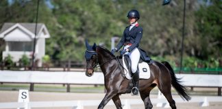 Isabelle Bosley and Paper Doll Take the Lead at The Event at TerraNova CCI3*-L