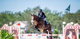 Quasi Cool and Phillip Dutton Take the Lead in CCI4*-S at TerraNova