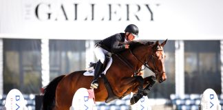Will Simpson Goes for Two in Palm Beach Equine Clinic CSI3* Speed at Wellington International