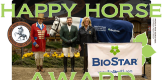 True Cassini and Michael Britt-León: The Most Harmonious at the 2024 National Horse Show