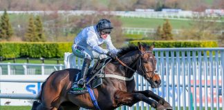 Royal Veterinary College Researchers Identify Factors That Will Support Injury Prevention and Welfare of Racehorses