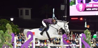 MTM Apple and Tracy Fenney Win $75,000 MARS Equestrian Grand Prix at WEC – Ocala