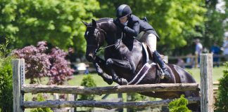 A Plea to Be Your Horse’s Advocate: Beyond USEF’s Substance Ban Proposal