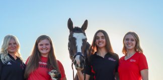 The University of Louisville: Where Horses and Business Meet
