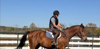 Special Plaidcast: Armand Leone on Protective Riding Vests by Taylor, Harris Insurance Services Plaidcast Episode Armand Leone